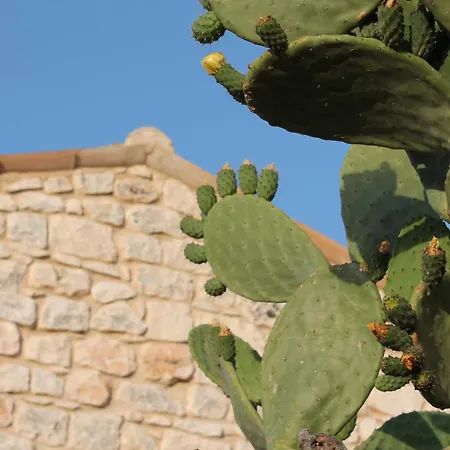 Tenuta Zannafondo Country house