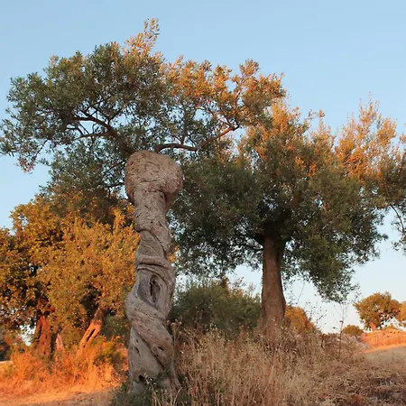 Tenuta Zannafondo Country house Donnafugata