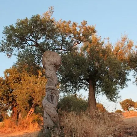 Tenuta Zannafondo בית כפרי דונאפוגאטה