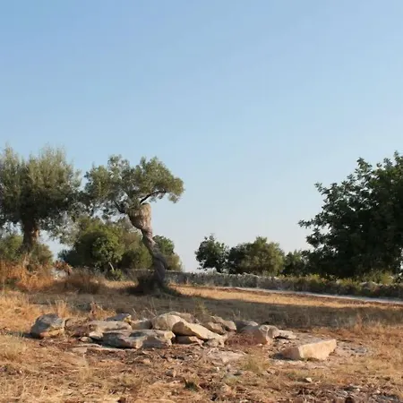 Tenuta Zannafondo דונאפוגאטה